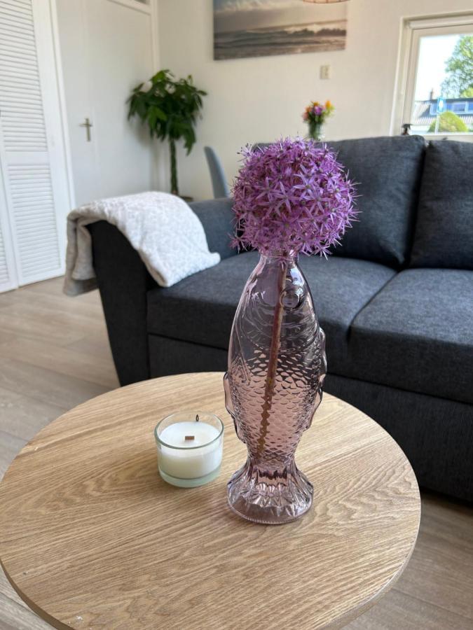 Amsterdam Beach Apartment 17, Incl Parking + Garden Zandvoort Exteriör bild