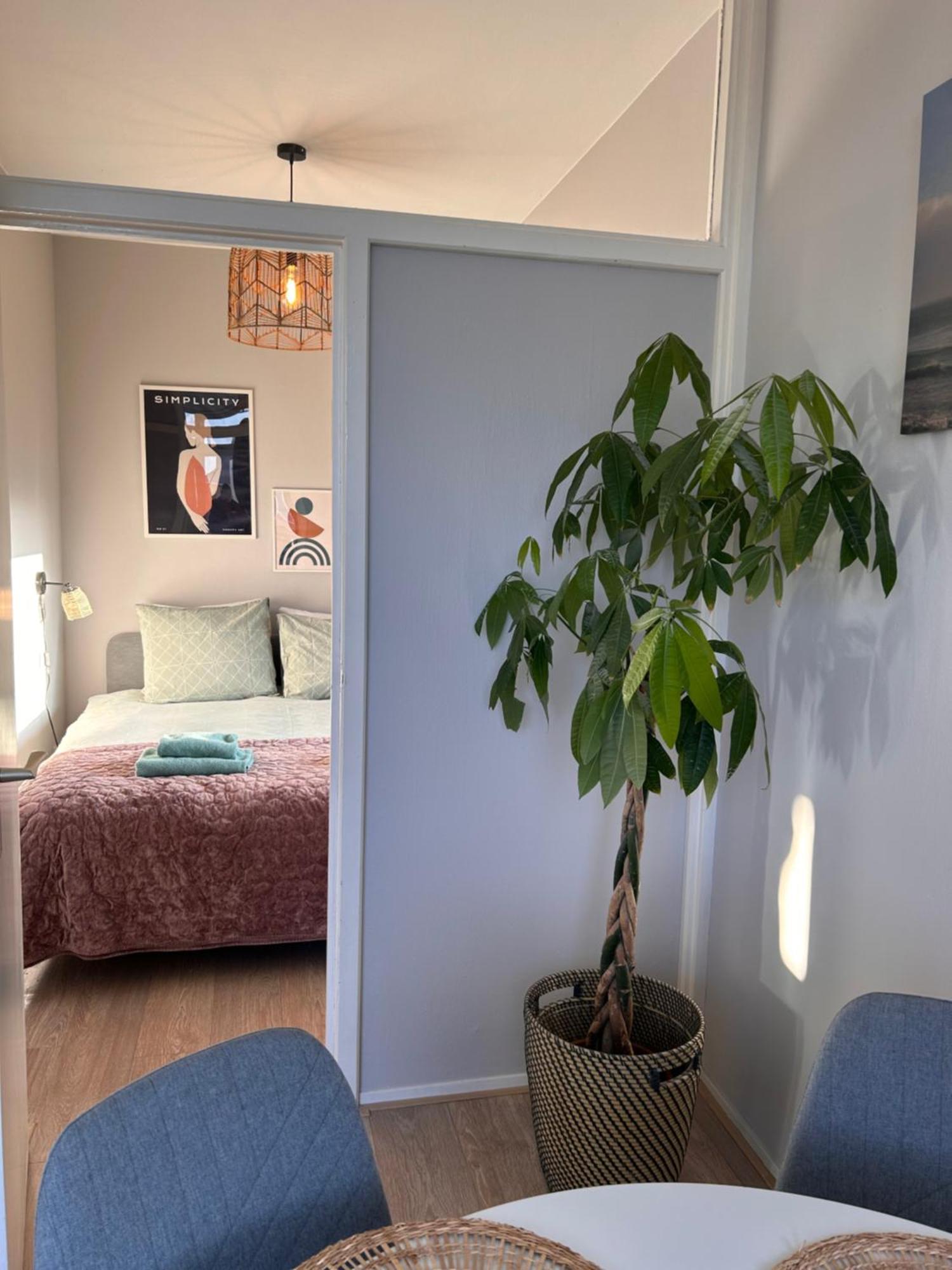 Amsterdam Beach Apartment 17, Incl Parking + Garden Zandvoort Exteriör bild